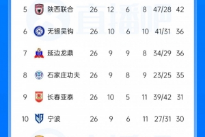 中甲积分榜:广州豹提前4轮夺冠冲超,支云领先第三2分占据主动权